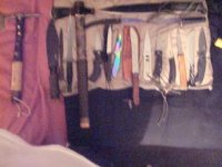 DSC01371.jpg