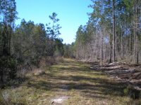 hike2.jpg
