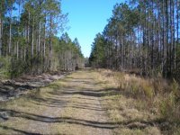 hike4.jpg
