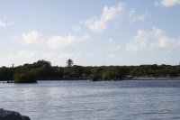 IMG_4696.jpg
