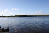 IMG_4695.jpg