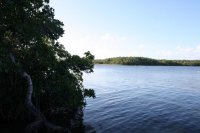 IMG_4703.jpg