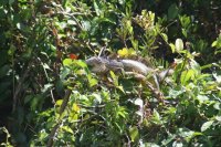 IMG_4711.jpg