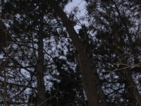 IMG_2177.jpg