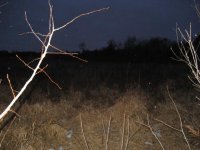 IMG_2182.jpg