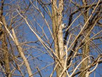 DSC00507.jpg