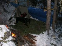 Picture 080.jpg