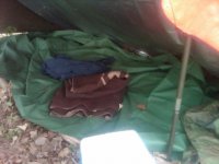 IMG00912-20120413-1833.jpg