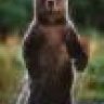 standingbear