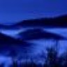 Shorty