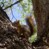 TheGeoSquirrel