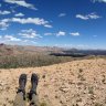 colorado dirt lover
