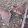 Rusty Plowpoint