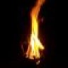 Bluegill
