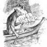 rb