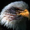 T43eagle