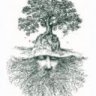 Longbeard