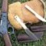 Bushpuukko