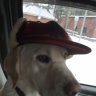 roadwarrior