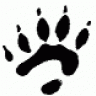 SkunkBear