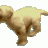 steve_t